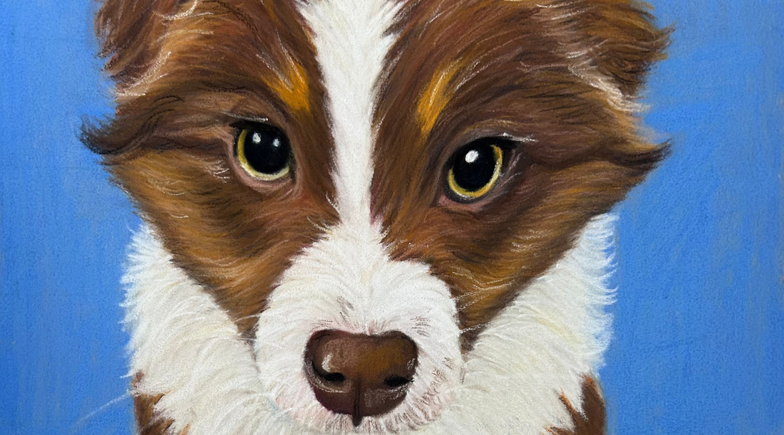 Why I Draw Pets (and Why It Never Gets Old)