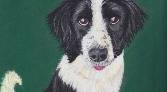 Why a Custom Pet Portrait Makes the Perfect Gift