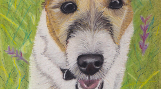 Honouring a Pet’s Memory with a Hand Drawn Portrait