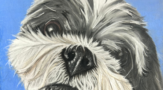 Capturing Pet Personality with Pastel Pencils | Custom Pet Portraits in Glasgow