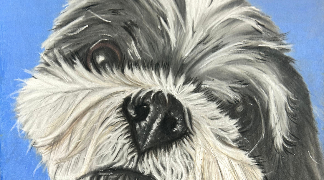Transforming Your Pet Into Art: Bespoke Portraits That Fit Your Home