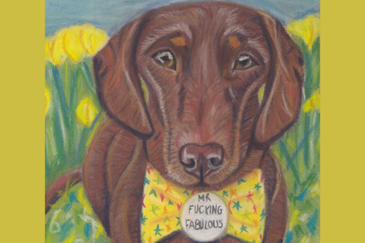 Common Mistakes Beginners Make When Drawing Pets in Pastel Pencils