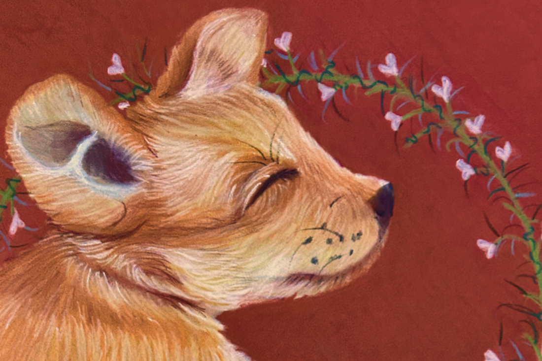 Celebrate Mother's Day with Adorable Hand-Drawn Cards from Hannah Kelly Pet Portraits