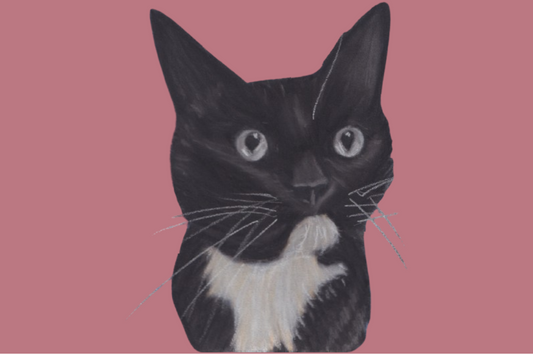 Want to know more about commissioning a custom pet portrait? FAQs Answered