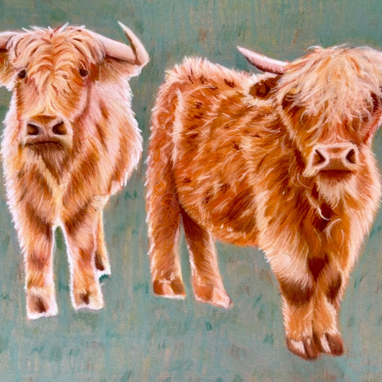 Hand-drawn pastel print of Highland cows Anne and Doris showcasing playful companionship, by Glasgow artist Hannah Kelly.