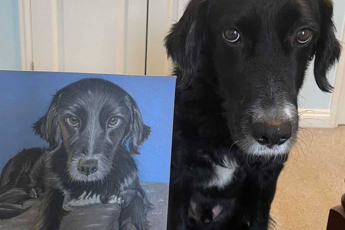 Black dog next to a pet portrait drawing of the dog