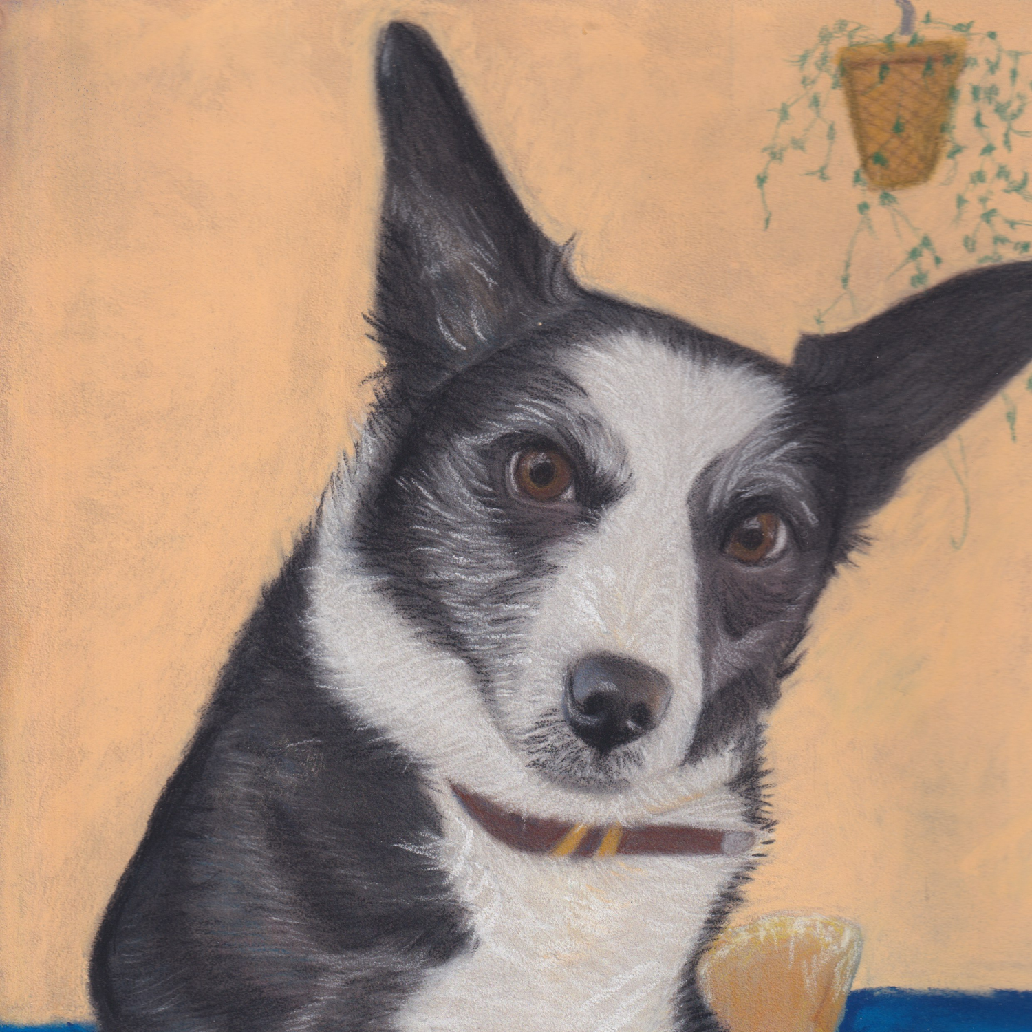 Custom hand-drawn pastel portrait of a collie — a beautiful gift for pet lovers or memorial piece