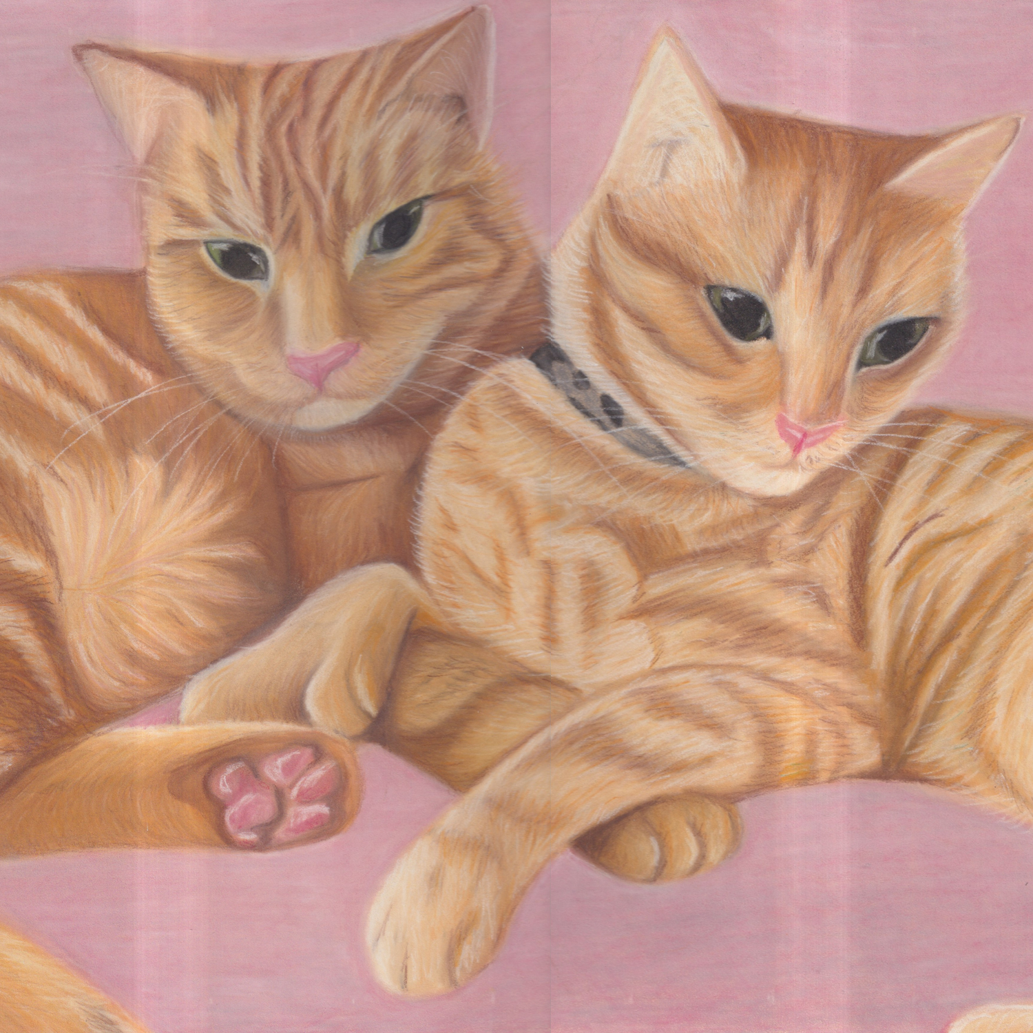 Detail of drawing of two cats cuddling on pink background