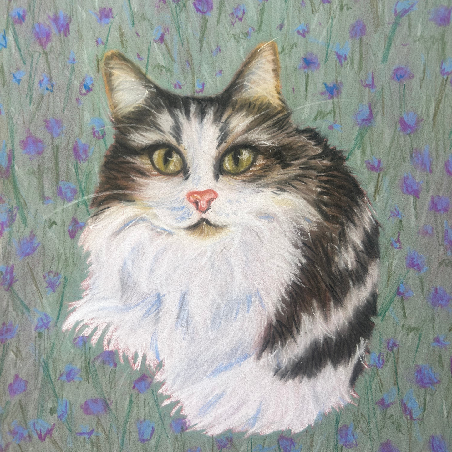 Pastel pencil drawing ‘Forget Me Nots’ by Glasgow artist Hannah Kelly, showing a calm long-haired cat with purple forget-me-not flowers, bespoke pet portrait art.