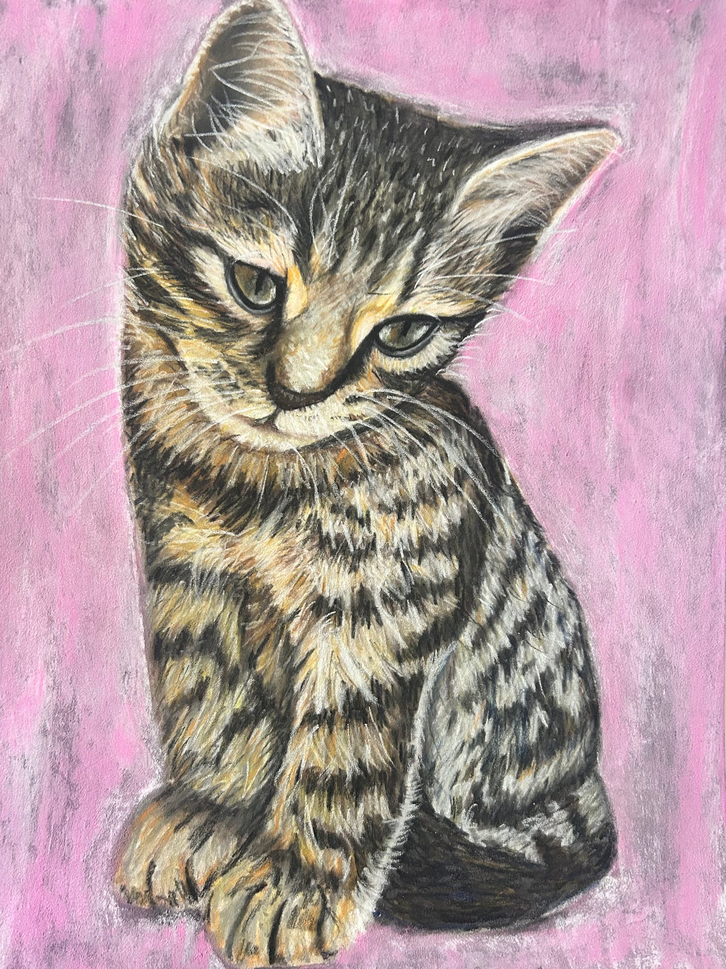 Cute Kitten – Illustrated Bookmark