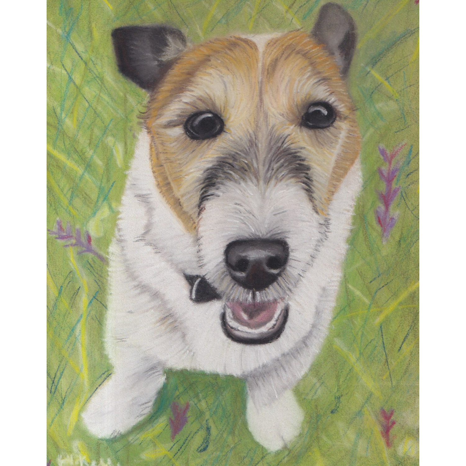 Pet portrait drawing of terrier with grass background