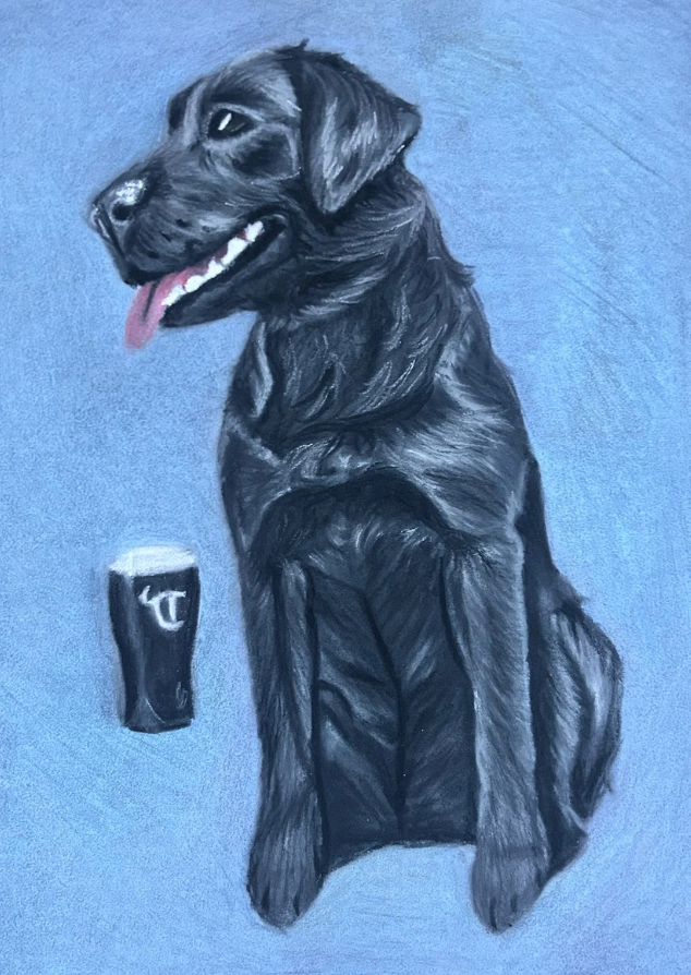 Black Labrador dog sitting next to a pint of Guinness against a blue background, hand-drawn pastel pencil portrait by Hannah Kelly.