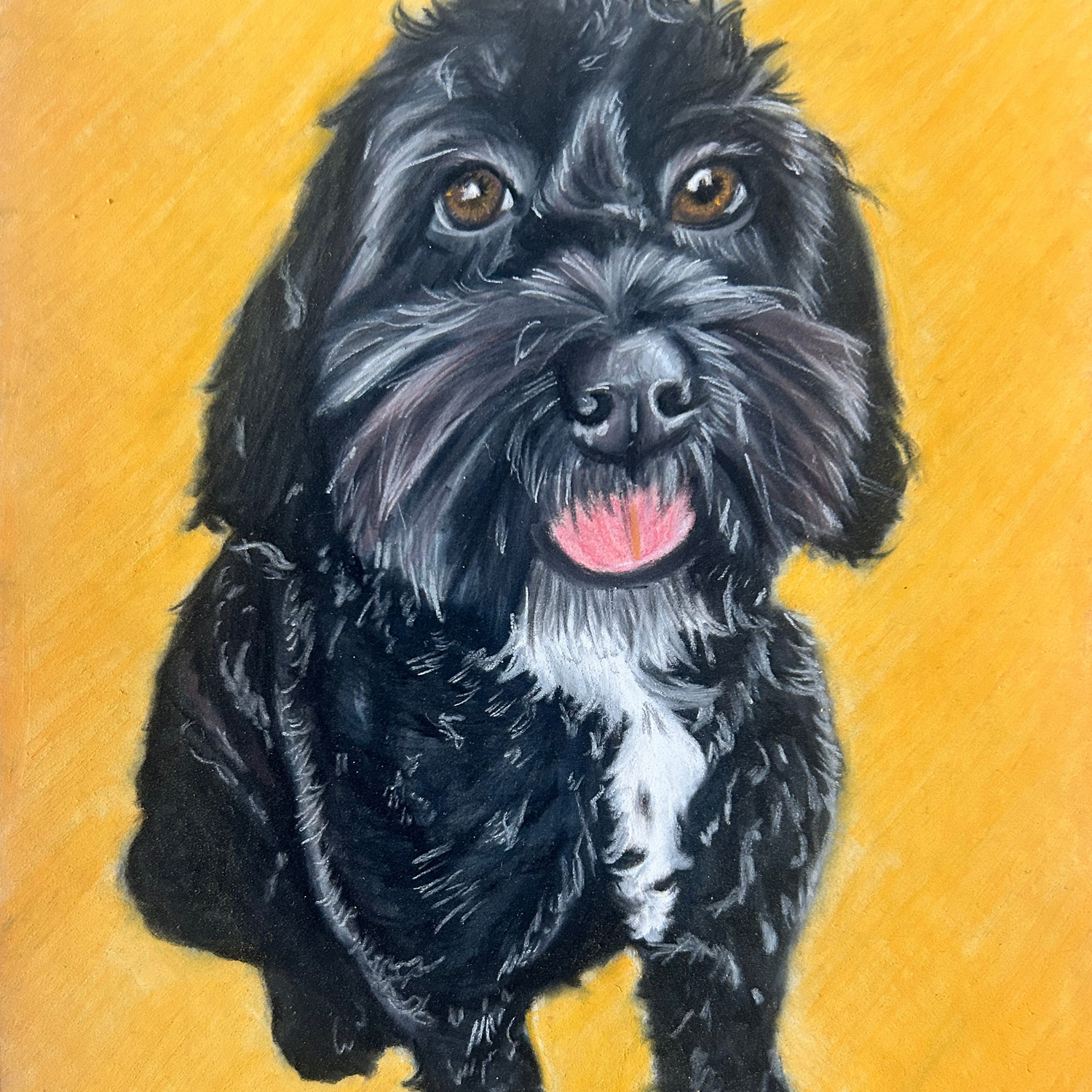 Hand-drawn pastel portrait capturing Rosie the black Cockapoo, created by Glasgow artist Hannah Kelly.
