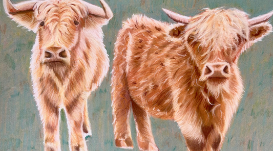 Spring on the Farm: Pet Portraits, Highland Cows & Fresh Inspiration