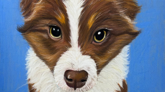 Hand Drawn Pet Portrait Prints in the UK