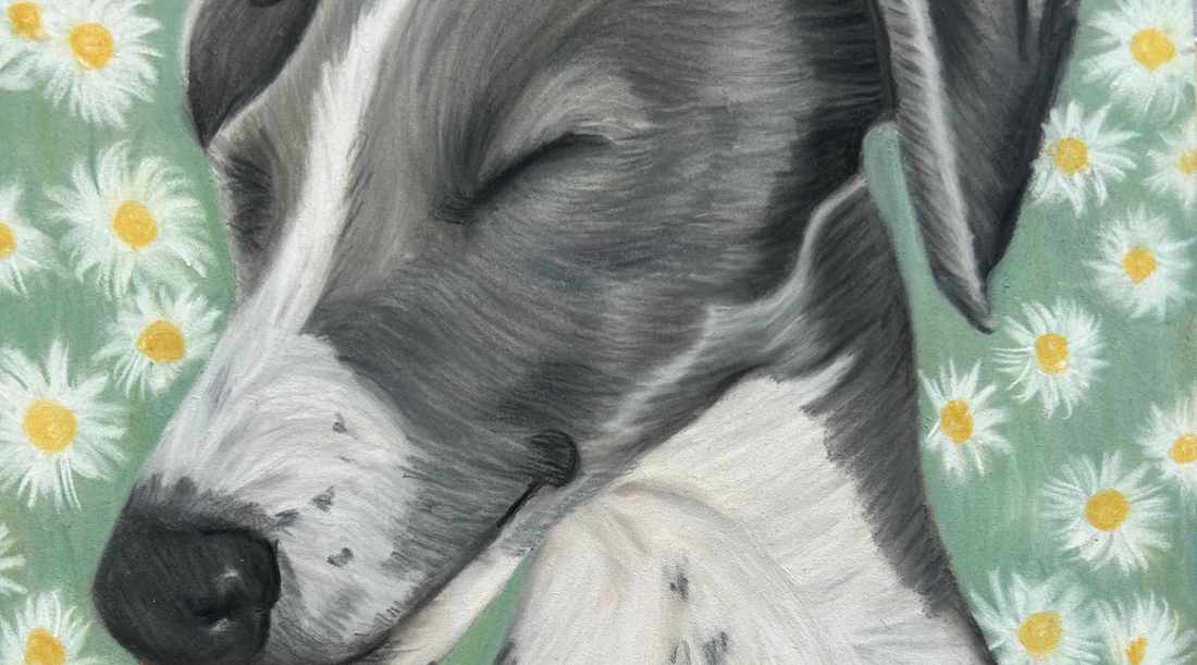 What Makes a Great Pet Photo for a Hand Drawn Portrait