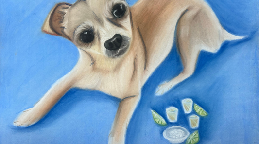 New Art Prints & Greeting Cards – Perfect for Pet Lovers! 🎨🐾