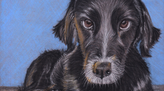 7 Mistakes People Make When Ordering a Pet Portrait as a Gift