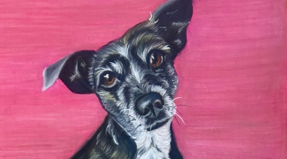 Why People Trust Me With Their Pet Portraits