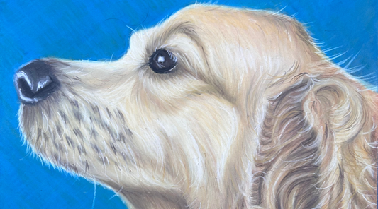 Custom Pet Portraits UK: A Meaningful Mother’s Day Gift from a Pet Portrait Artist in Glasgow