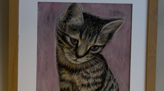 My First Pet Portrait Exhibition at Gusto & Relish, Glasgow!