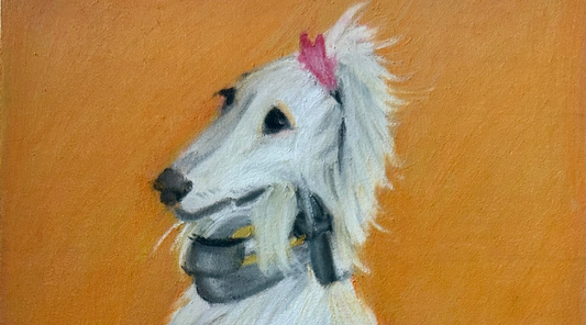 🐾 How It Works: My Pet Portrait Process Walkthrough