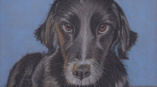 Behind the Artist: My Journey as a Pet Portrait Artist in Glasgow