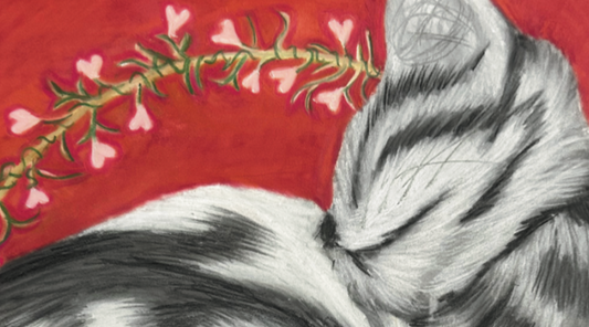 The Emotional Impact of Pet Portraits: Why People Love Them