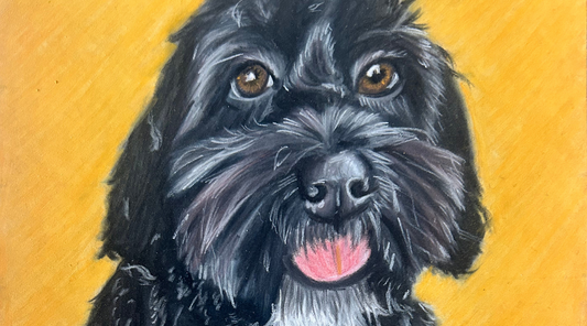 How to Commission a Hand Drawn Pet Portrait from a Photo