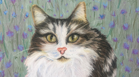 Behind the Scenes: How I Create Expressive, Bespoke Pet Portraits in Glasgow