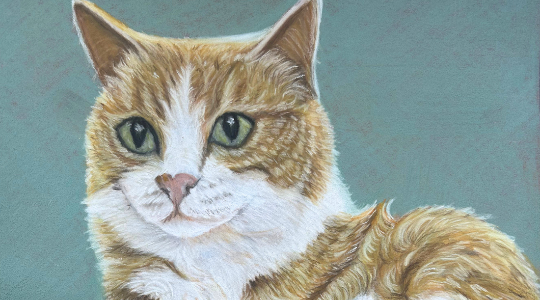 How the Cats of Southside Glasgow Inspire My Art