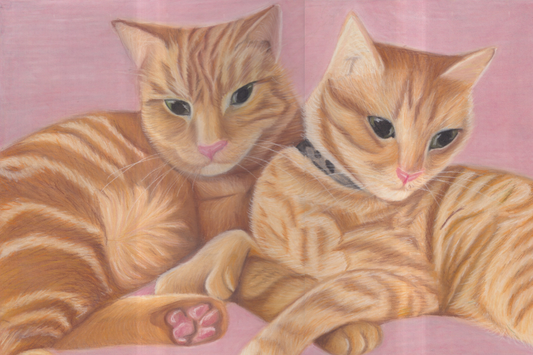 Why a Personalised Pet Portrait is the Ultimate Christmas Surprise
