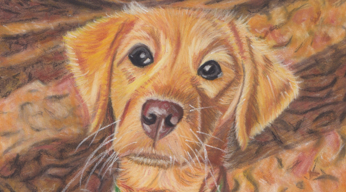 Why Pastel Pencils are Ideal for Pet Portraits