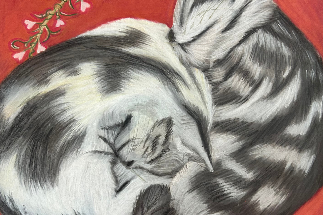 Celebrate Your Love with Custom Pet Portraits This Valentine's and Galentine's