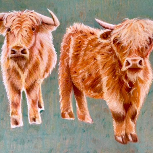 Hand-drawn pastel print of Highland cows Anne and Doris showcasing playful companionship, by Glasgow artist Hannah Kelly.