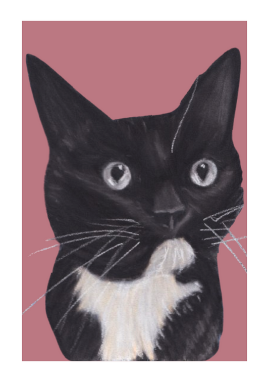 Black and white tuxedo cat print (A5)