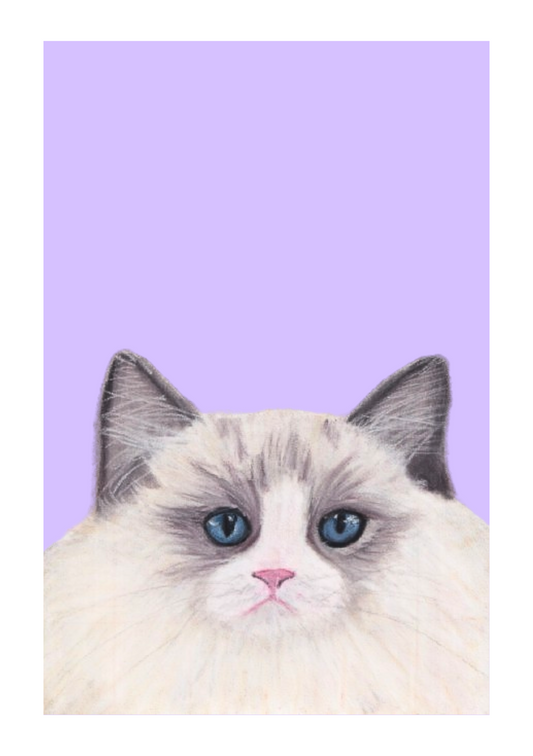 Ragdoll cat print (A5)