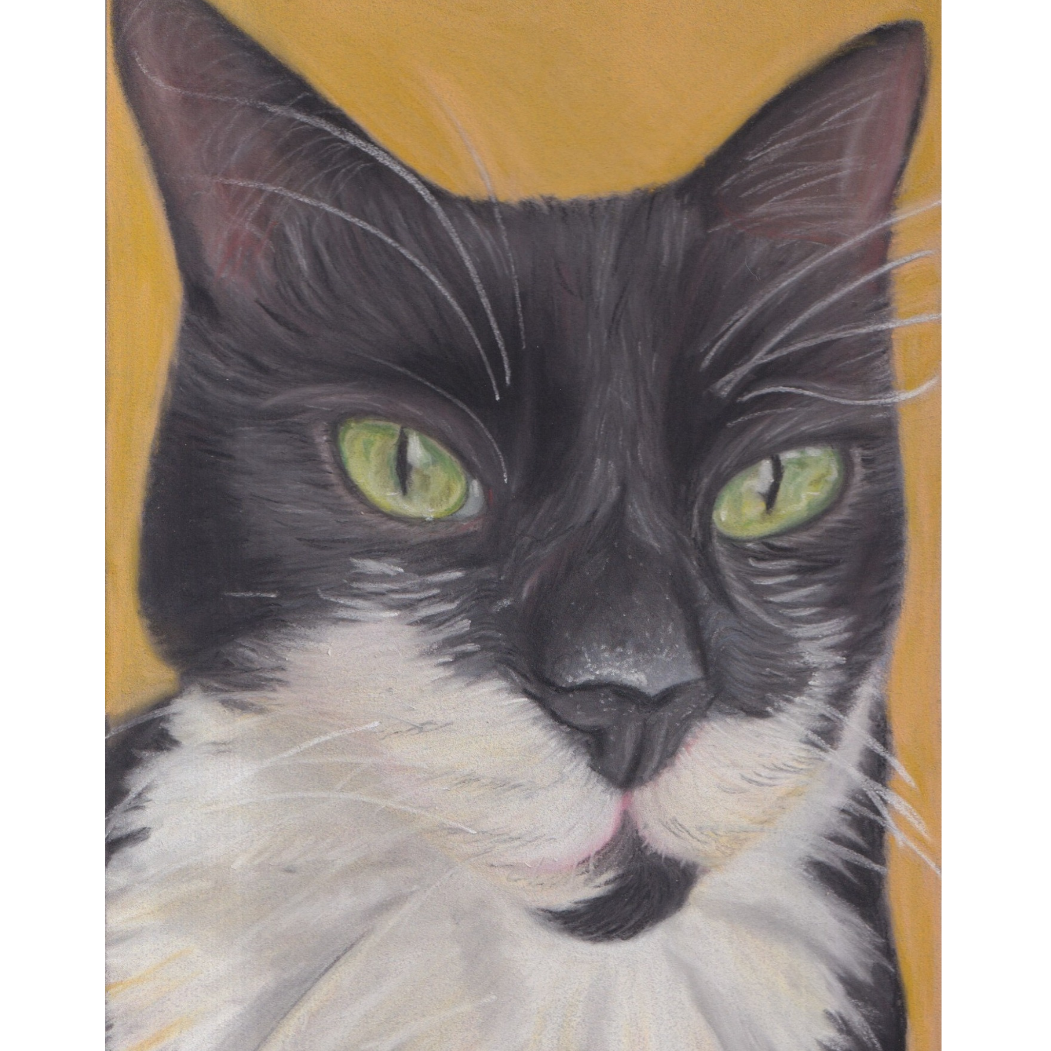 Custom drawing of black and white cat on mustard background