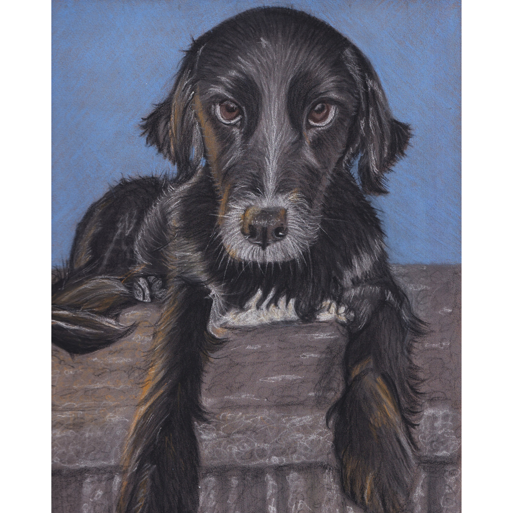 Custom drawing of black dog sitting on step with blue background
