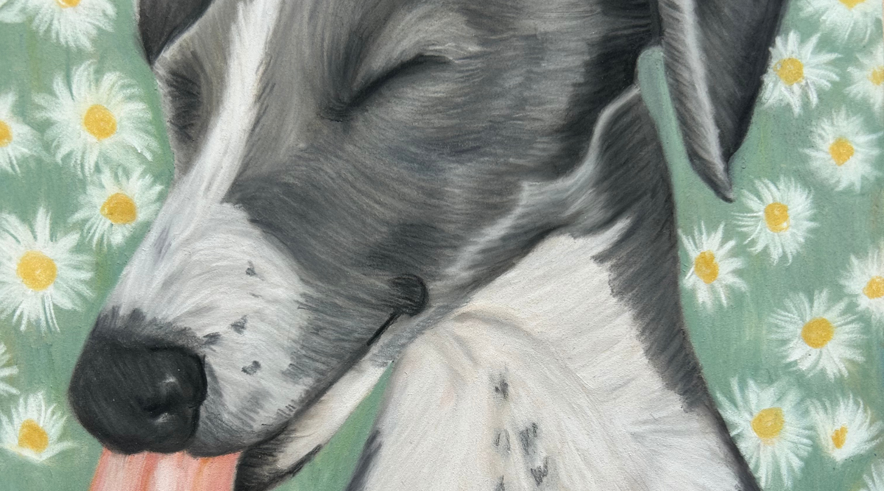 Detail of original pastel drawing ‘Nose In The Daisies’ by Glasgow artist Hannah Kelly, featuring a greyhound with daisies.