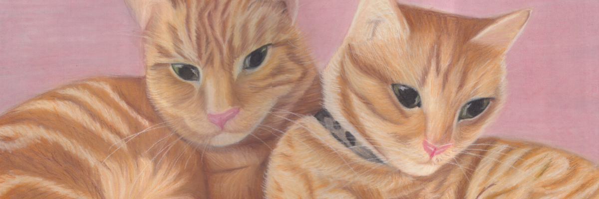 Detail of drawing of two ginger cats on a pink background