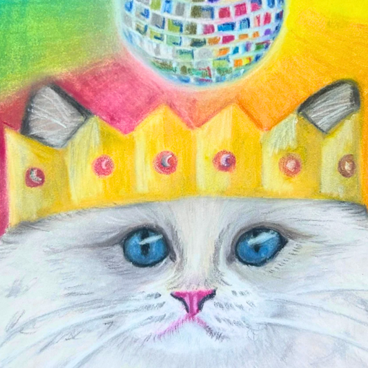 Disco Cat Drawing