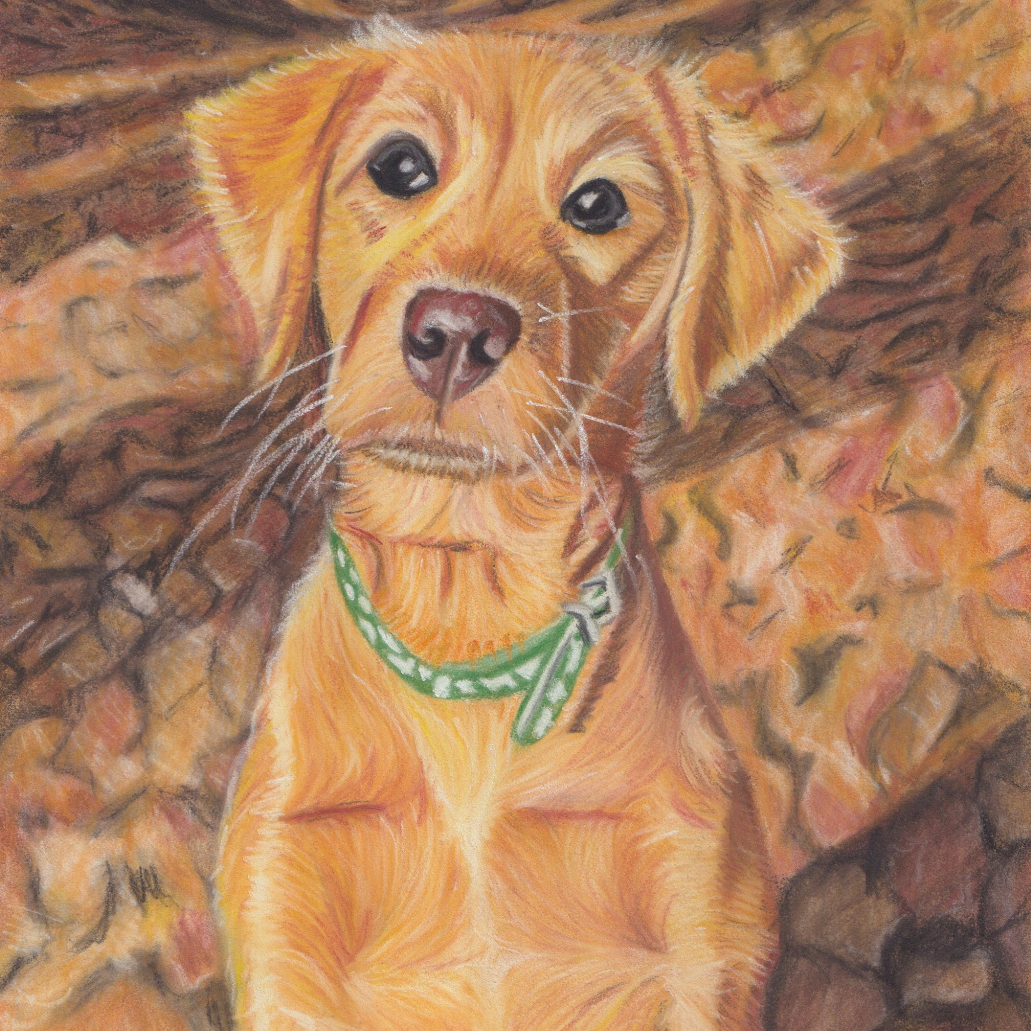 Pet portrait drawing of dog with autumnal leaves in background