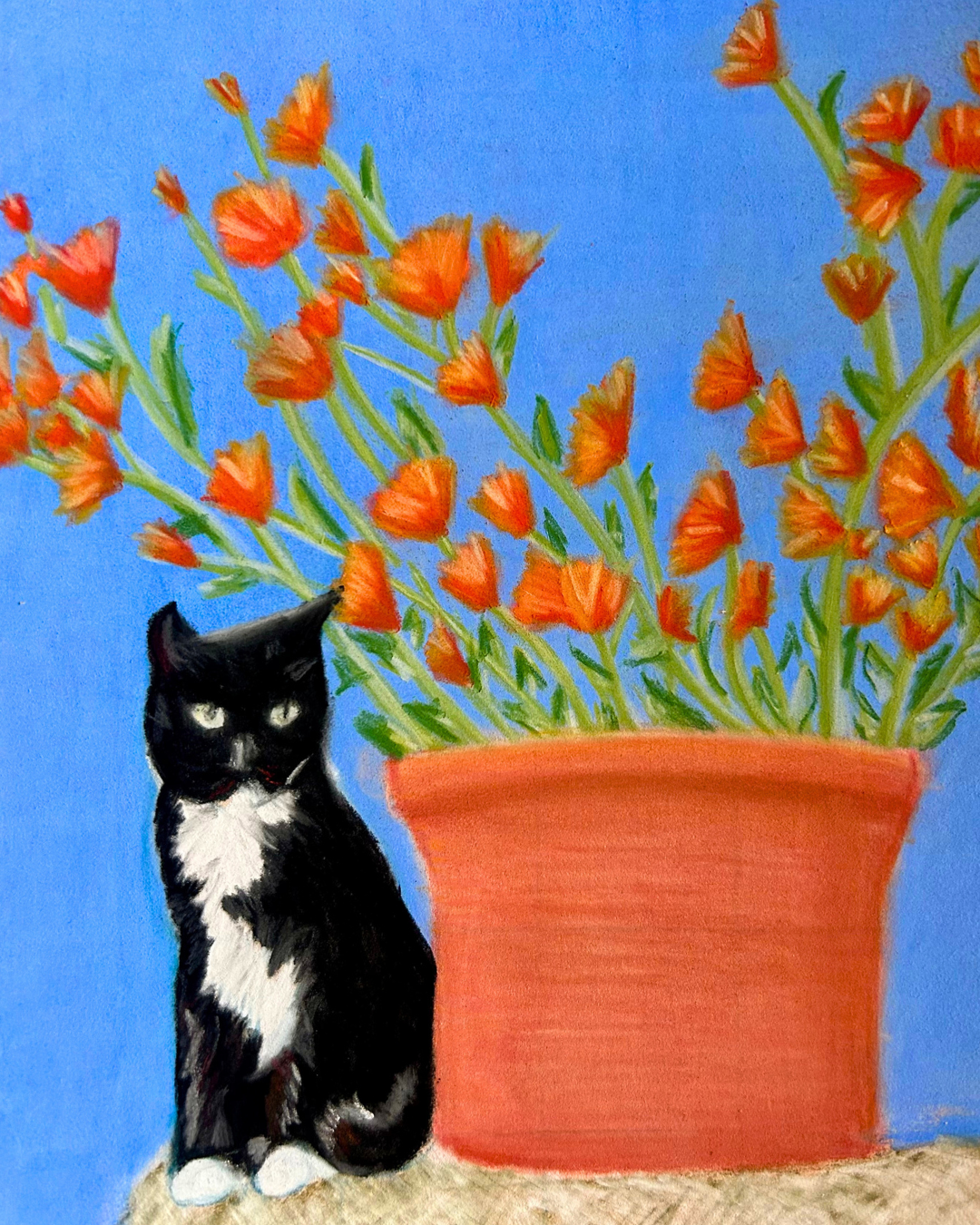 Rosie & The Flower Pot pastel drawing by Glasgow artist Hannah Kelly, black and white tuxedo cat with red flower pot, custom pet portrait.
