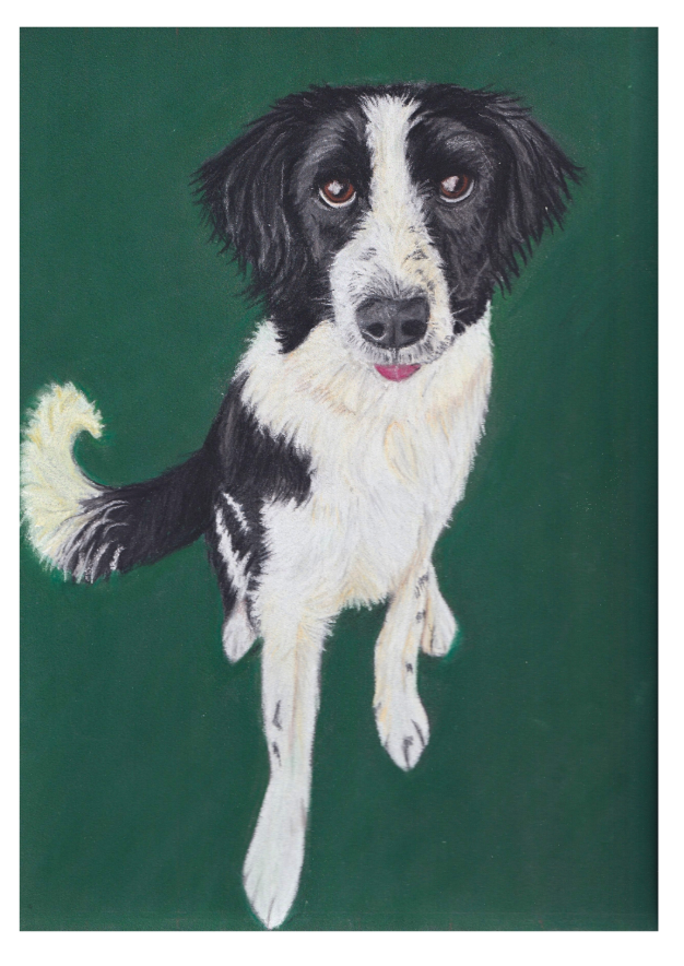 Sprollie dog portrait with a lively green background, capturing the playful spirit and energy of this beloved breed. Perfect for fans of joyful, detailed pet art.