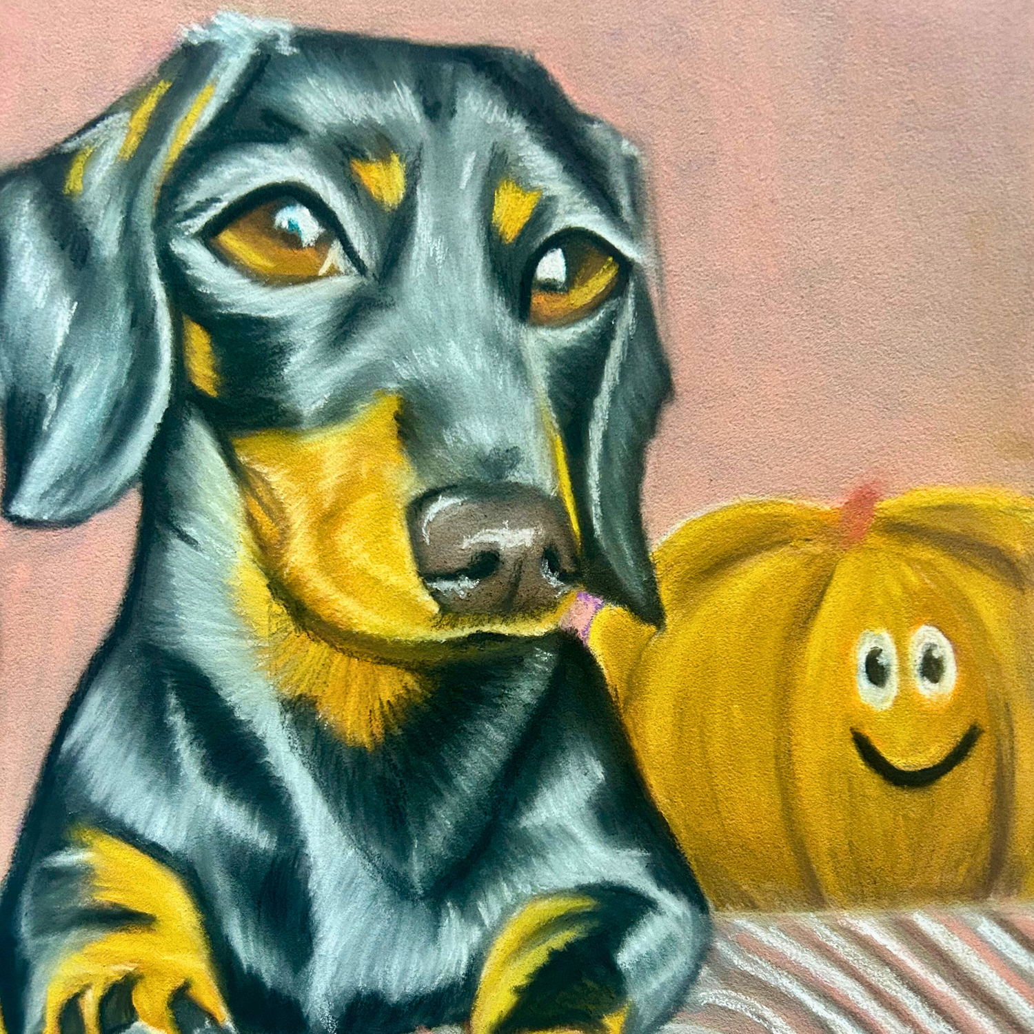 Close-up detail of a hand-drawn pastel portrait of a Dachshund by Glasgow artist Hannah Kelly.