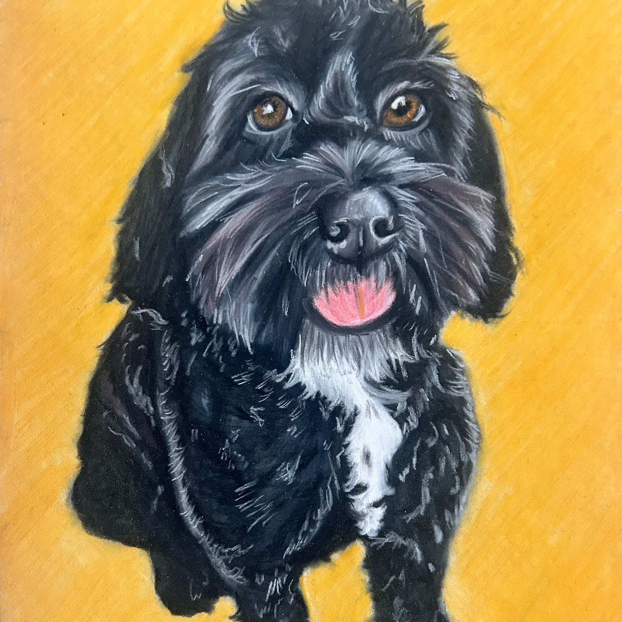 Hand-drawn pastel portrait capturing Rosie the black Cockapoo, created by Glasgow artist Hannah Kelly.