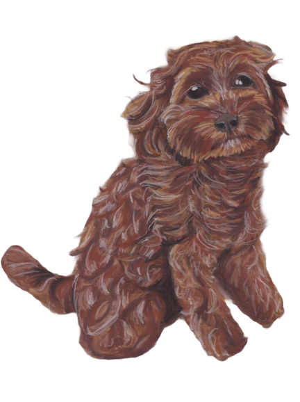 Cockapoo Print (A5)