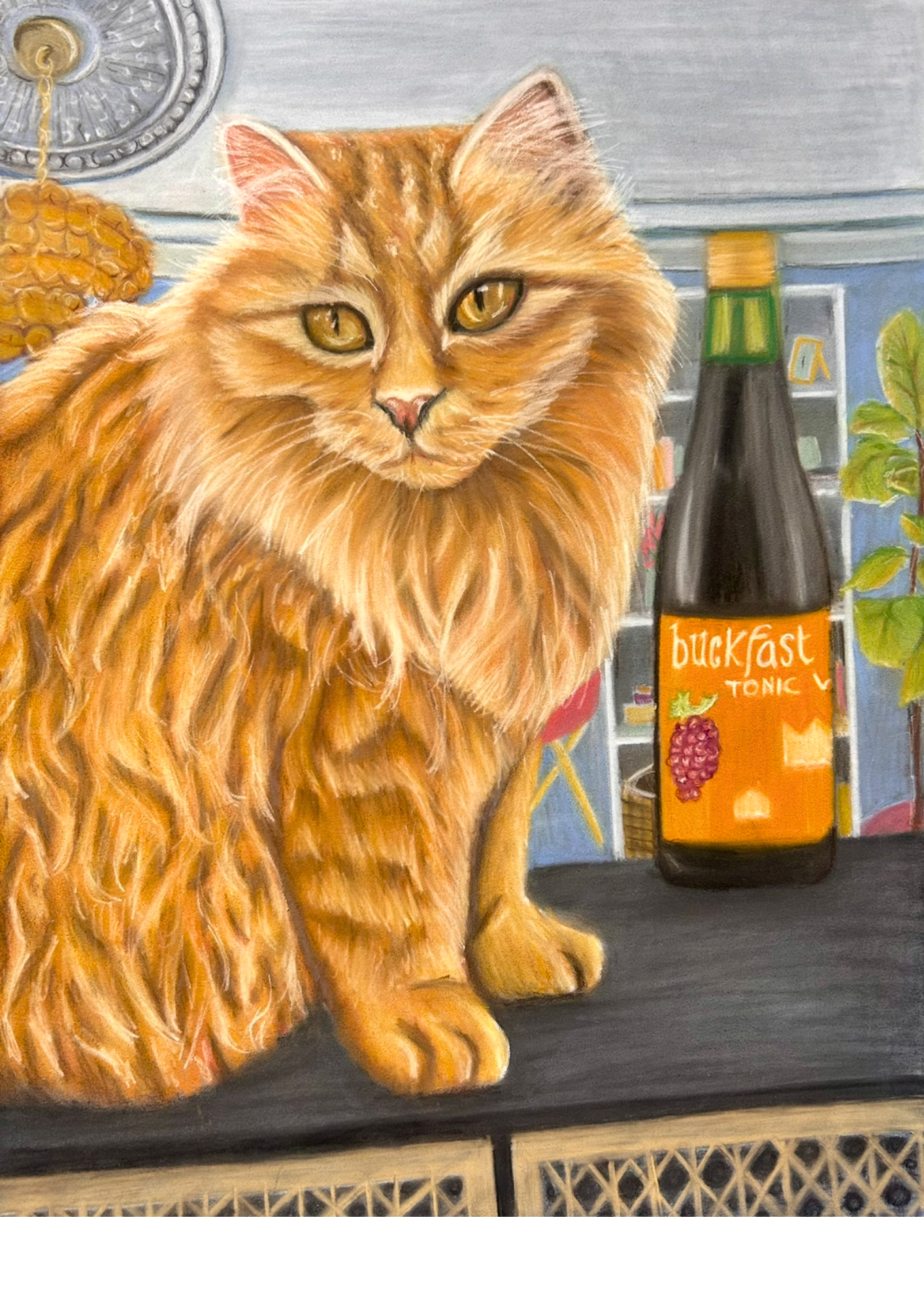 A Quiet Night In Glasgow | Limited Edition Cat with Bottle of Buckfast