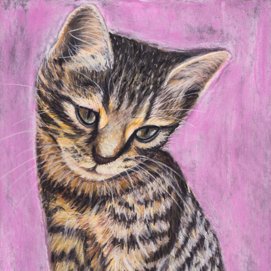 Cute Kitten Art Print